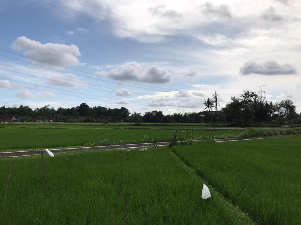 Legiyem Homestay Yogyakarta Esterno foto